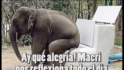 Los particulares hits de una murga contra Macri Los particulares hits de una murga contra Macri