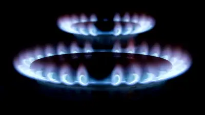 Un fallo judicial frenó el tarifazo del gas en la Costa Atlántica Un fallo judicial frenó el tarifazo del gas en la Costa Atlántica