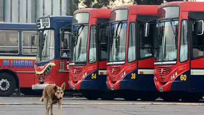 La UTA logra una nueva paritaria por encima del techo del Gobierno: 21% en tres cuotas La UTA logra una nueva paritaria por encima del techo del Gobierno: 21% en tres cuotas