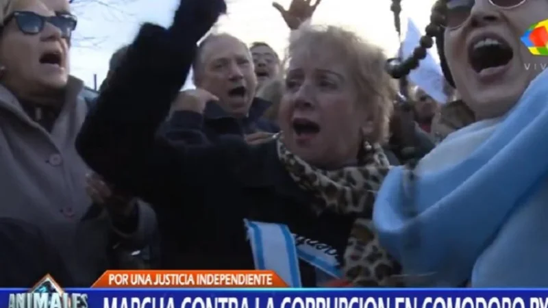 Los violentos testimonios de la marcha a Comodoro Py que mostró Animales Sueltos
