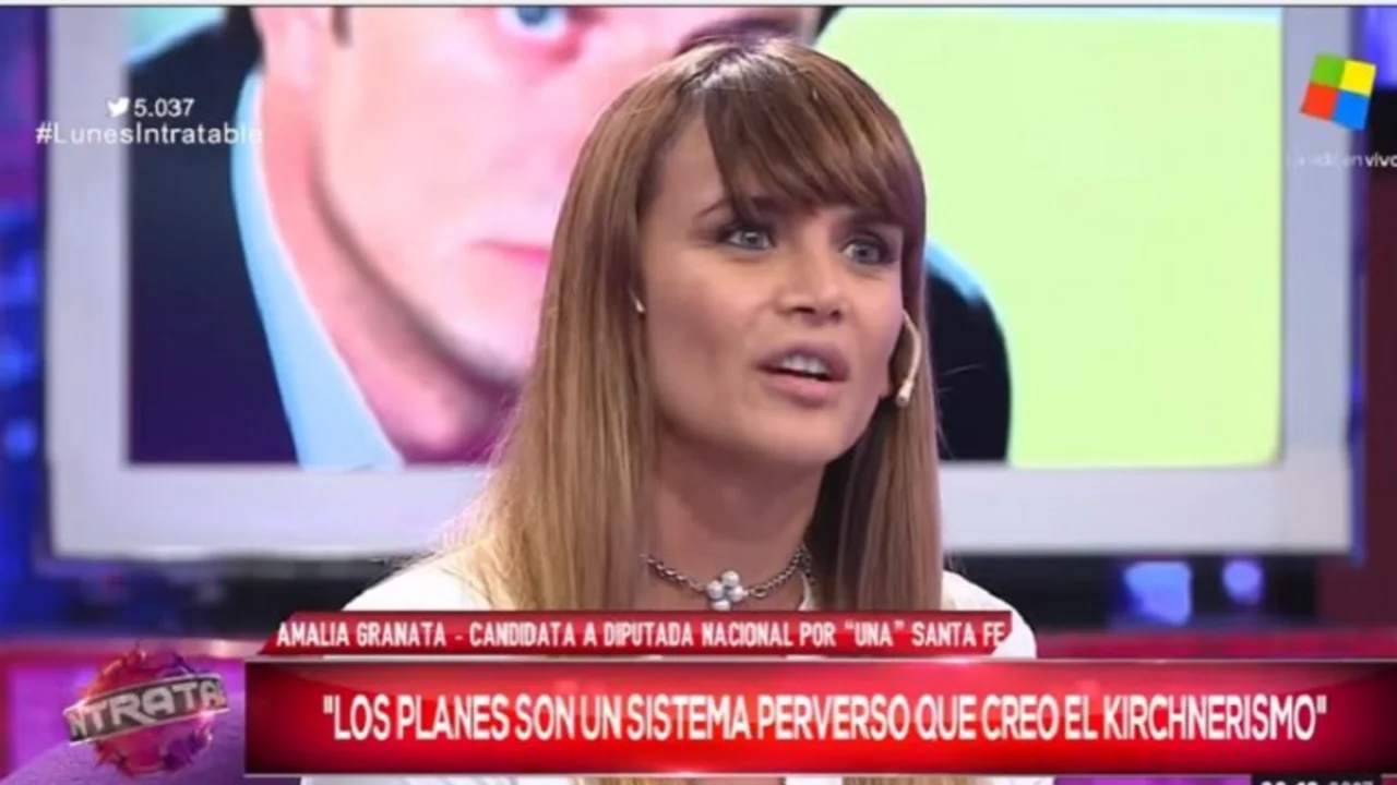 Amalia Granata: "Los pobres que cobran planes no saben hacer otra cosa"