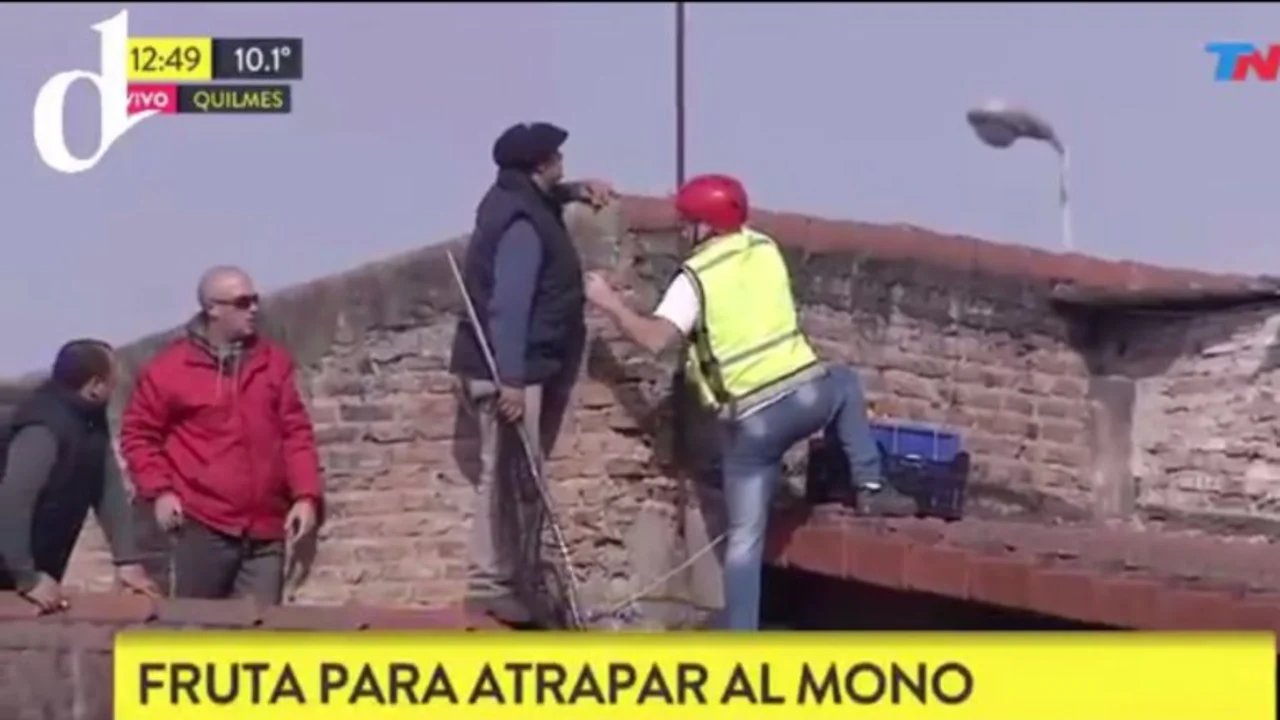 TN omitió el suicidio del jubilado en Mar del Plata casi 3 horas