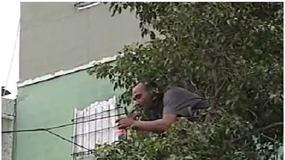 Otro papelón de Bullrich: 2200 gendarmes no pudieron bajar a un alcoholizado de un árbol Otro papelón de Bullrich: 2200 gendarmes no pudieron bajar a un alcoholizado de un árbol