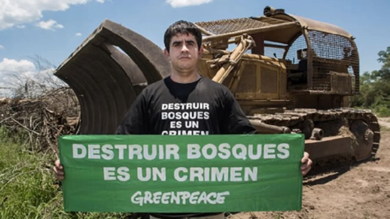 Greenpeace denuncia amenazas por parte del primo de Marcos Peña