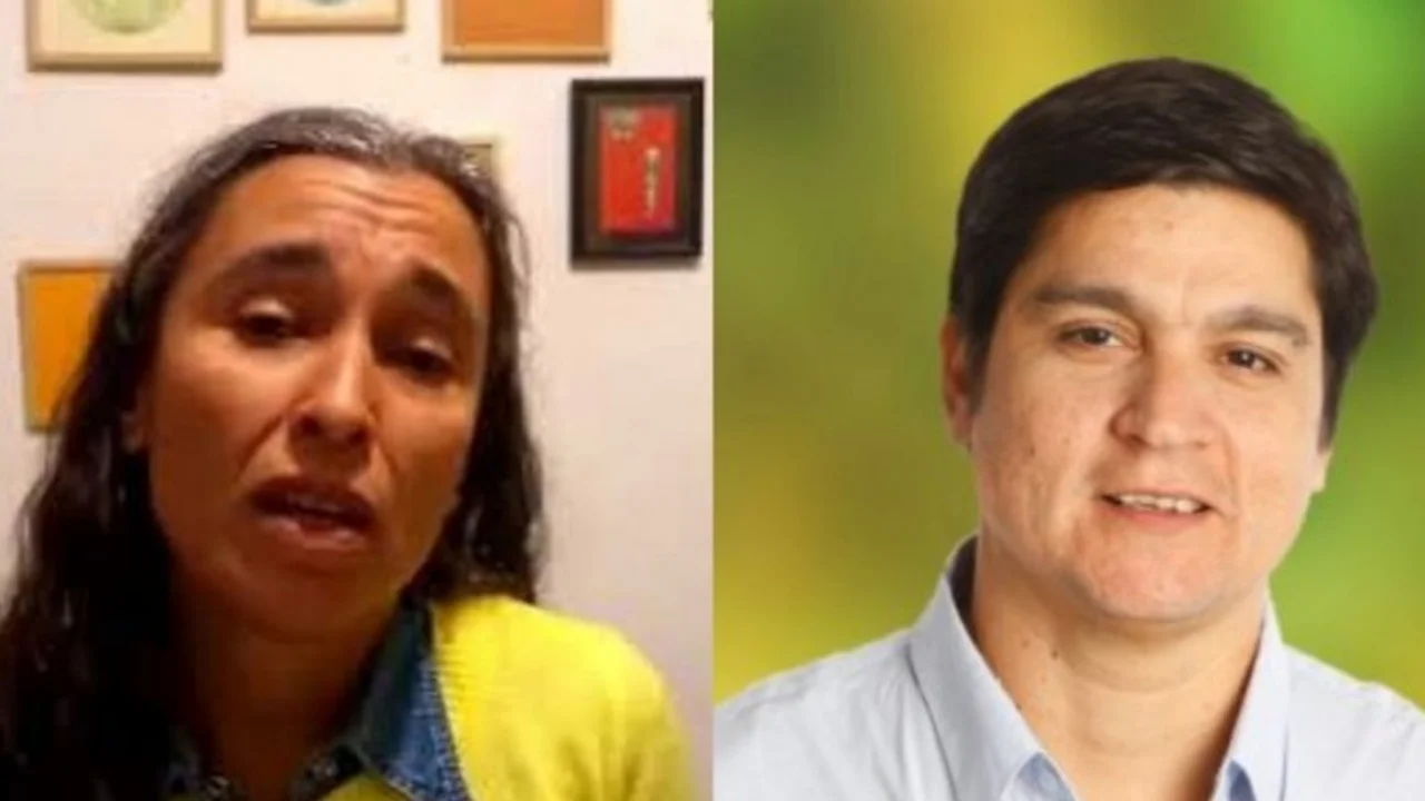 Rompió el silencio la ex pareja del diputado Arce, obligada a abortar