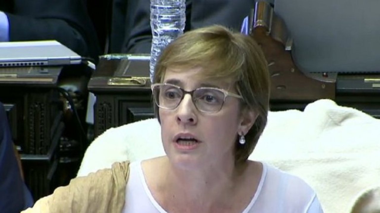 Los insólitos argumentos de la diputada Burgos en contra del aborto
