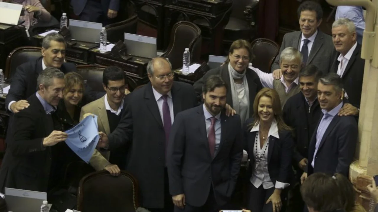 Las peores y más desopilantes frases que se dijeron durante el debate por el aborto