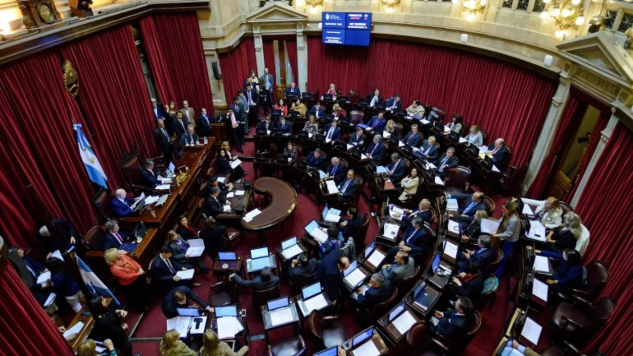 Se demora el tratamiento del aborto en el Senado