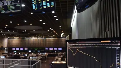 Economistas evaluaron el ascenso de la Argentina a "Mercado Emergente" Economistas evaluaron el ascenso de la Argentina a "Mercado Emergente"