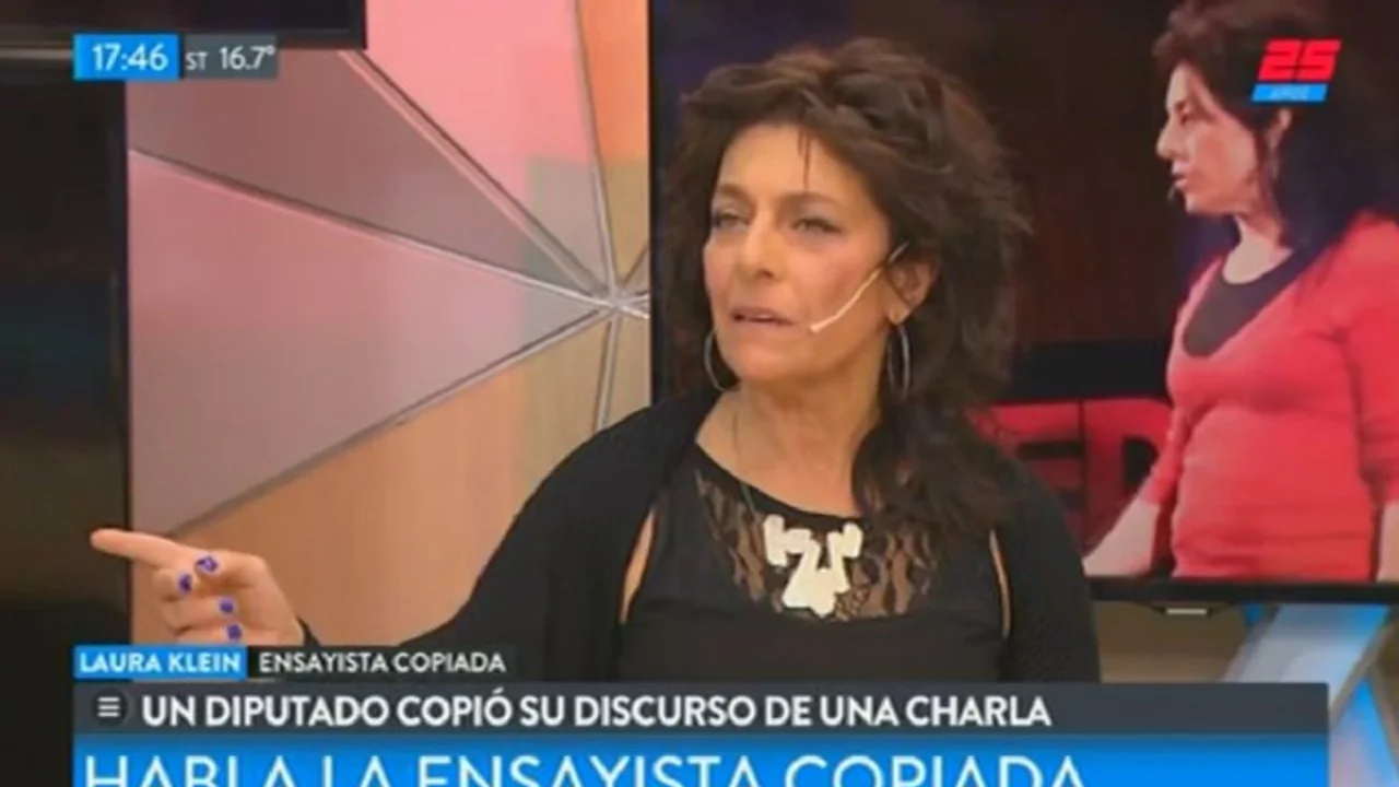 Laura Klein dejó mal parado al diputado que plagió su charla