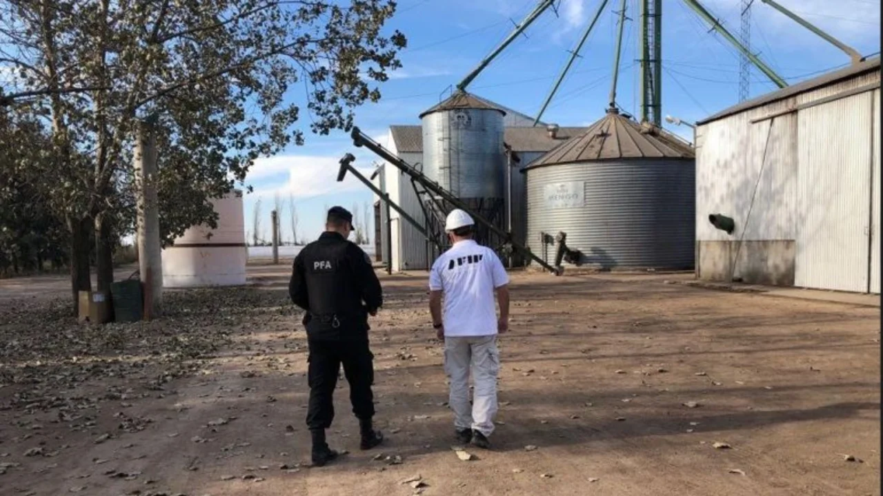 Golpe al campo: la AFIP decomisó 650 toneladas de cereal sin declarar en Córdoba