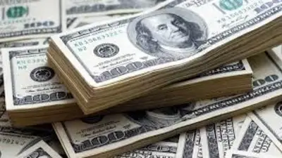 Dólar hoy: abrió la semana al laza y cerró a $ 46,12 Dólar hoy: abrió la semana al laza y cerró a $ 46,12