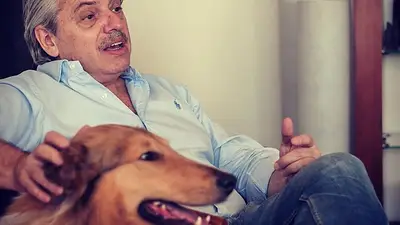 Se agranda la familia de Alberto Fernández: El perro Dylan fue papá Se agranda la familia de Alberto Fernández: El perro Dylan fue papá