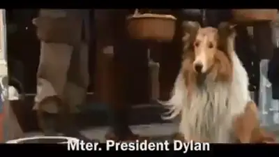 El primer spot de campaña de Dylan Fernández El primer spot de campaña de Dylan Fernández