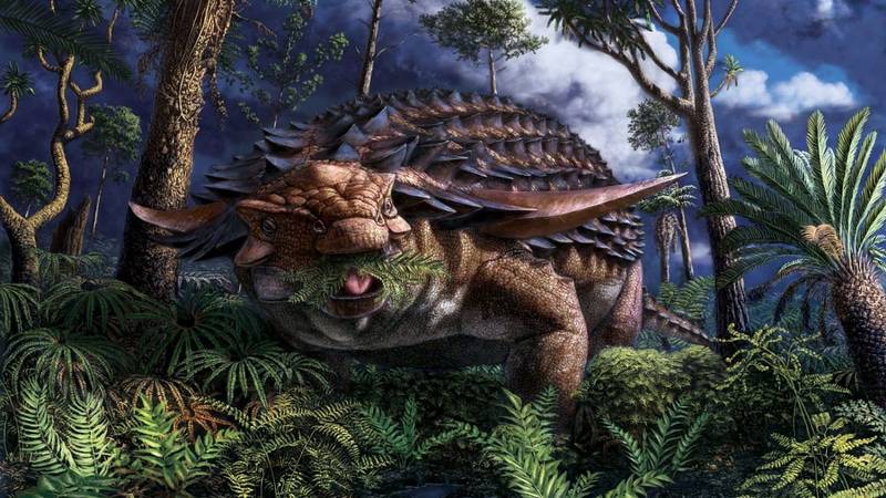 Increíble: encontraron el estómago de un dinosaurio en perfecto estado y esta fue su última comida antes de morir