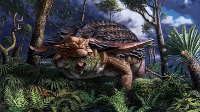Increíble: encontraron el estómago de un dinosaurio en perfecto estado y esta fue su última comida antes de morir Increíble: encontraron el estómago de un dinosaurio en perfecto estado y esta fue su última comida antes de morir