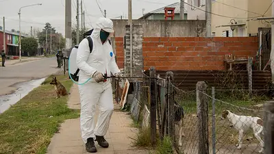 Confirmaron 31 nuevas muertes en las últimas 24 horas Confirmaron 31 nuevas muertes en las últimas 24 horas