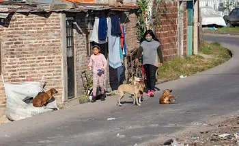 Ingreso Universal: un sendero a la igualdad | Economía