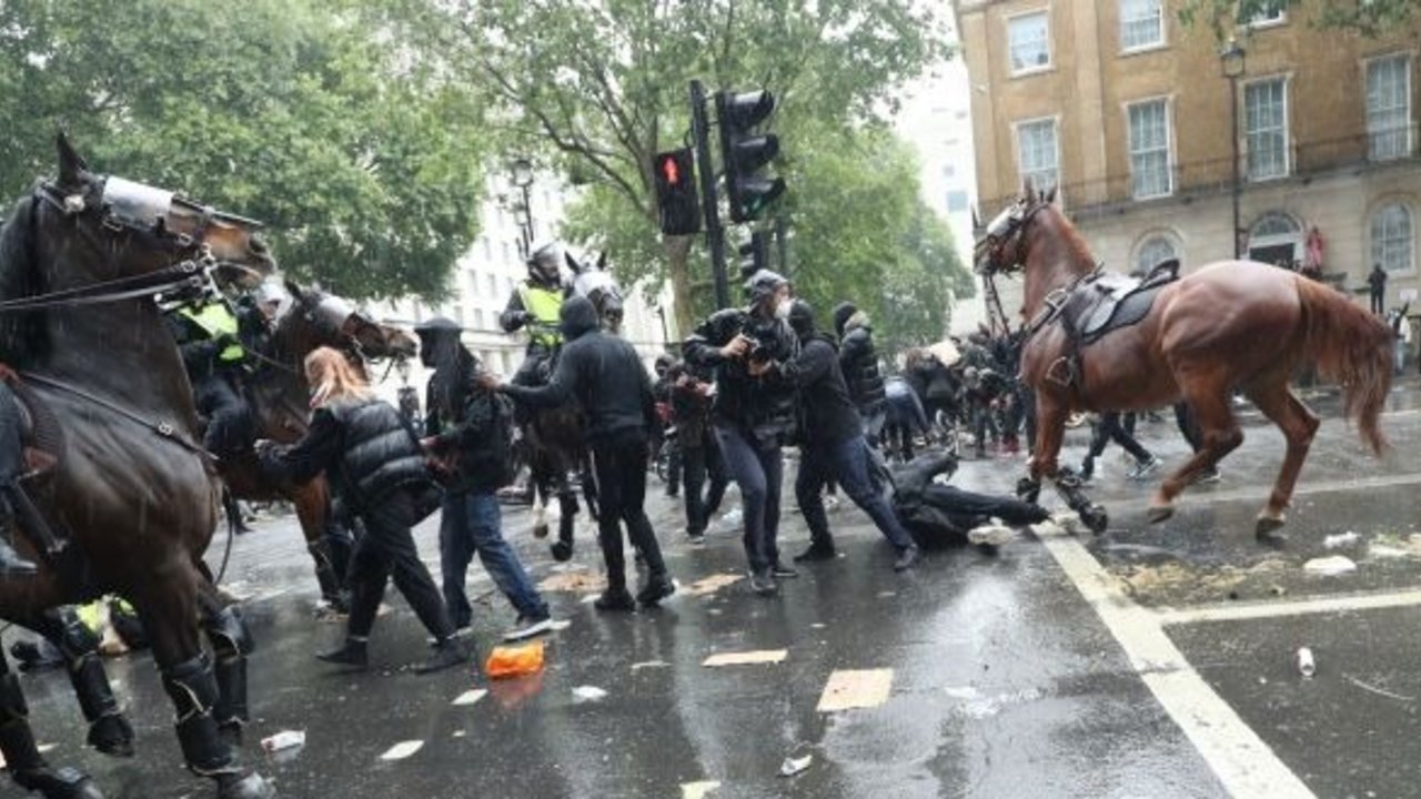Imapactante video: un Caballo perdió a su jinete y quedó suelto entre los manifestantes