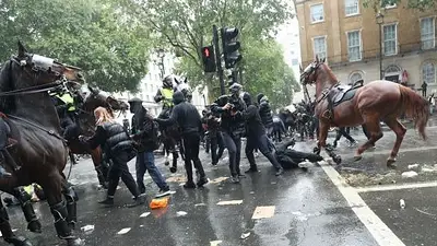 Imapactante video: un Caballo perdió a su jinete y quedó suelto entre los manifestantes Imapactante video: un Caballo perdió a su jinete y quedó suelto entre los manifestantes
