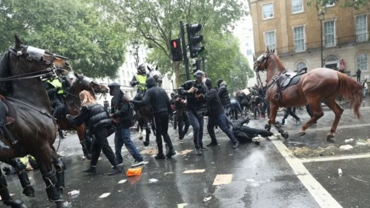 Imapactante video: un Caballo perdió a su jinete y quedó suelto entre los manifestantes