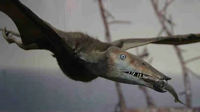 Descubren un pequeño dinosaurio con alas en la Patagonia argentina Descubren un pequeño dinosaurio con alas en la Patagonia argentina