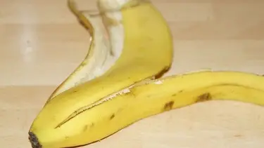 Compraron bananas y encontraron un escorpión