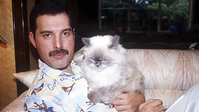 Video inédito de Freddie Mercury se viralizó y generó emoción entre los fanáticos Video inédito de Freddie Mercury se viralizó y generó emoción entre los fanáticos