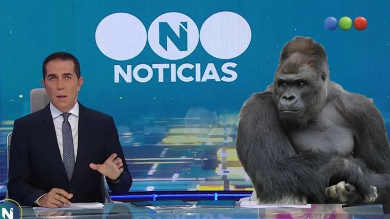 Los desopilantes memes sobre Cristina Pérez que son furor en redes