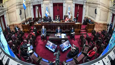 El insulto de un senador de Juntos por el Cambio en pleno recinto a quien presidía la sesión El insulto de un senador de Juntos por el Cambio en pleno recinto a quien presidía la sesión