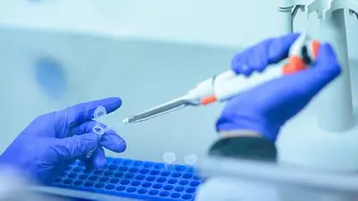 Lucha contra el coronavirus: casi el 70% de enfermos mejoraron con plasma de pacientes recuperados Lucha contra el coronavirus: casi el 70% de enfermos mejoraron con plasma de pacientes recuperados