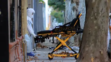 Pico máximo de muertes por coronavirus en un día
