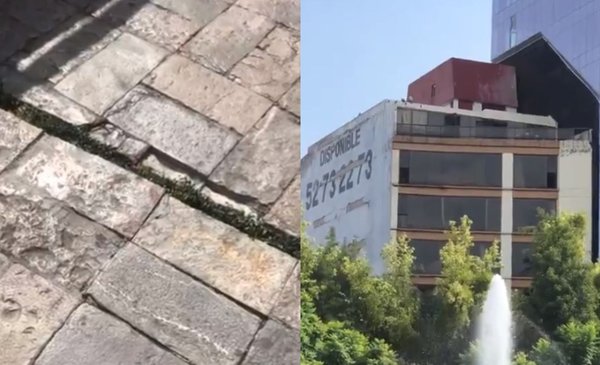 México Impactantes Videos Con Las Imágenes Del Terremoto El Destape 5043