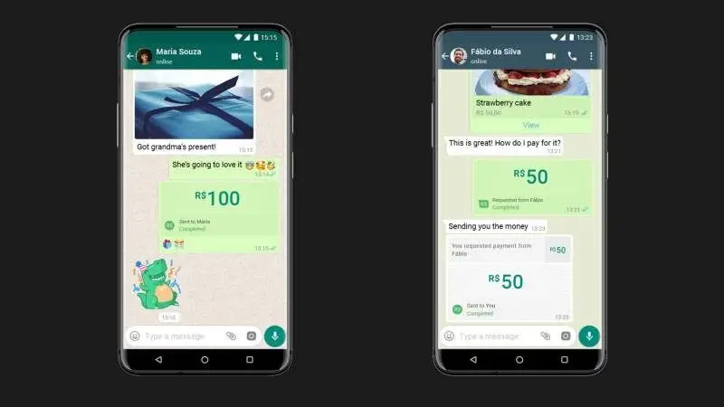 Whatsapp: el gobierno de Bolsonaro le impidió hacer pagos virtuales 
