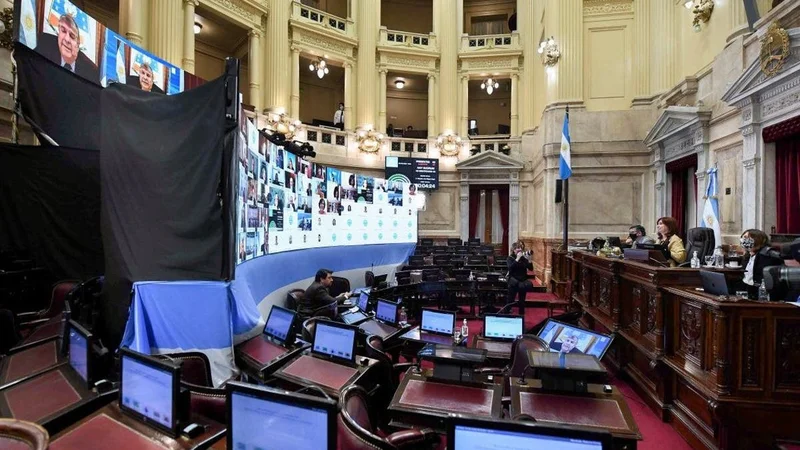 ¿Quien será el reemplazo de Carlos Menem en el Senado?