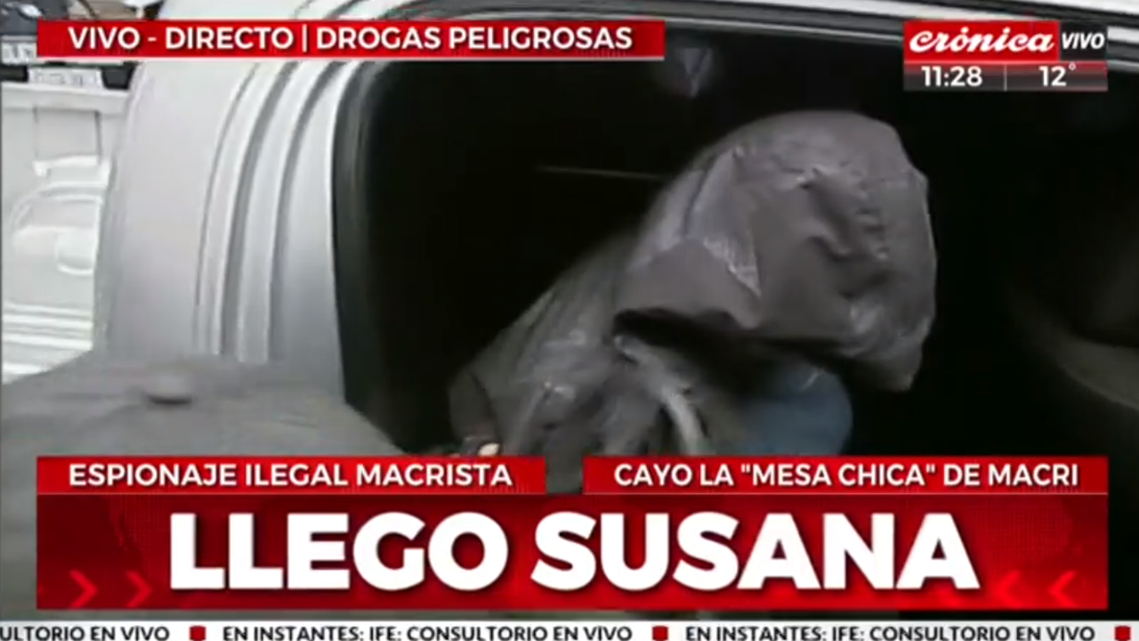Video: así fue la detención de Susana Martinengo por espionaje ilegal