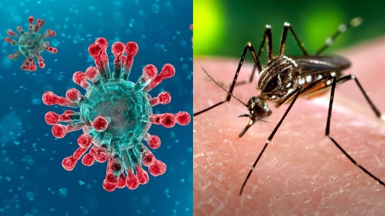 Dengue y COVID: ¿Cuál es el impacto de la doble infección?