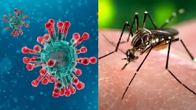 Dengue y COVID: ¿Cuál es el impacto de la doble infección? Dengue y COVID: ¿Cuál es el impacto de la doble infección?