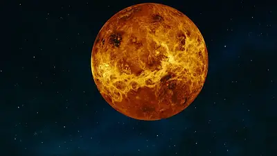 Venus Venus