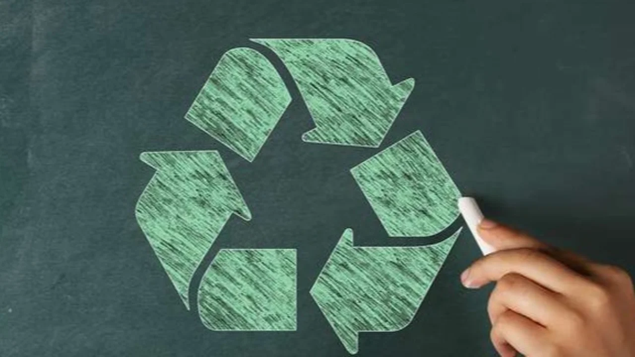 Día del Medioambiente: Los usuarios demandan a las marcas mayores cuidados y sustentabilidad