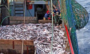 Sindicatos pesqueros realizan medidas de fuerza por un reclamo salarial | Salarios