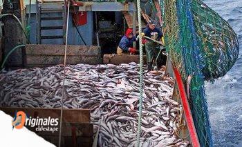 Pesca: el Gobierno “ningunea” al sector, lo desfinancia y lo ahoga con impuestos | Pesca