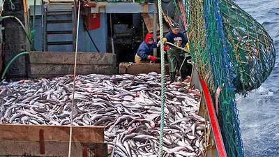La economía arrojó en febrero una leve mejora impulsada por finanzas y pesca La economía arrojó en febrero una leve mejora impulsada por finanzas y pesca