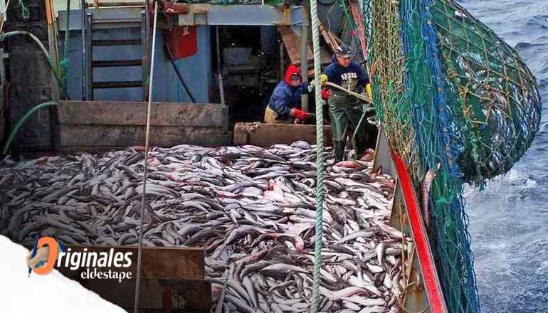 Pesca: el Gobierno “ningunea” al sector, lo desfinancia y lo ahoga con impuestos