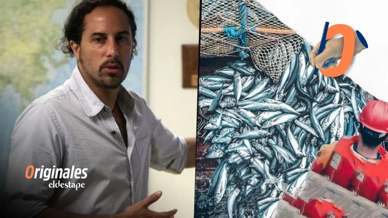 Milko Schvartzman y la pesca ilegal en Argentina: "Si no se frena, la catástrofe será ambiental y económica"