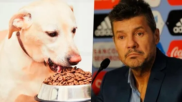 Tinelli, obligado a comer comida de perro si Argentina pierde con Chile
