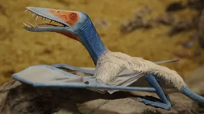 Descubrieron una nueva especie de pterosaurio a partir de insólitas huellas Descubrieron una nueva especie de pterosaurio a partir de insólitas huellas