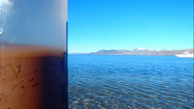 Hacer comida de ADN en el lecho marino Hacer comida de ADN en el lecho marino
