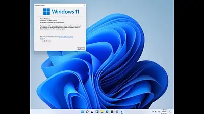 Windows 11 Windows 11