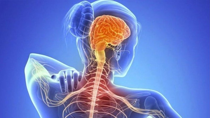 ELA: Identificaron dos vías prometedoras para desarrollar nuevos tratamientos